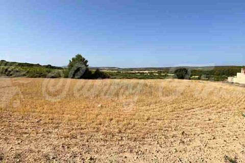Farm hus i Almansa, Albacete, Almansa - € 560.000 | Ref: SF0516 - foto 34